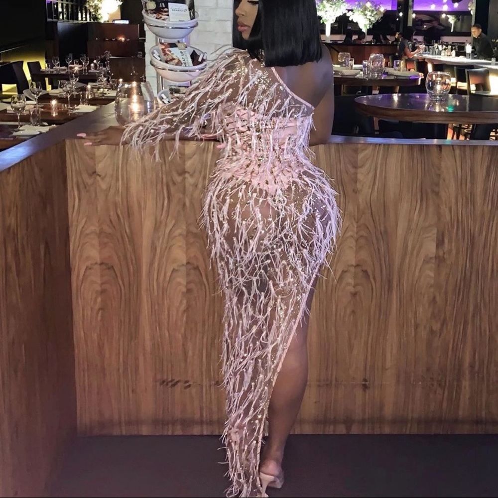 BLUSH FEATHER DRESS